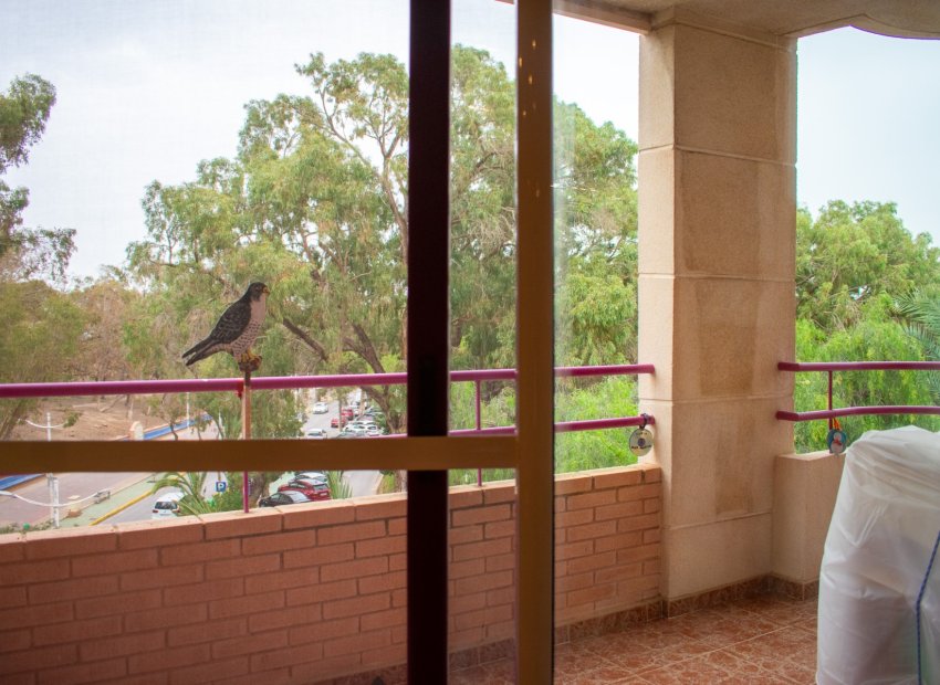 Herverkoop - Appartement / flat - Guardamar del Segura - Center