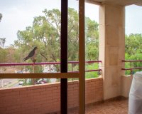 Herverkoop - Appartement / flat - Guardamar del Segura - Center