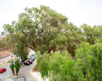 Herverkoop - Appartement / flat - Guardamar del Segura - Center