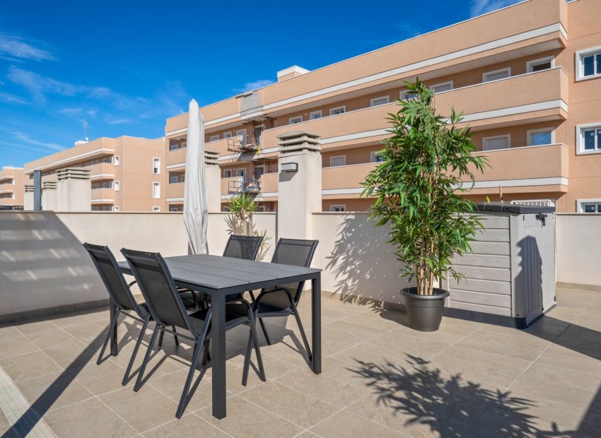 Herverkoop - Appartement / flat - Guardamar del Segura - Costa Blanca