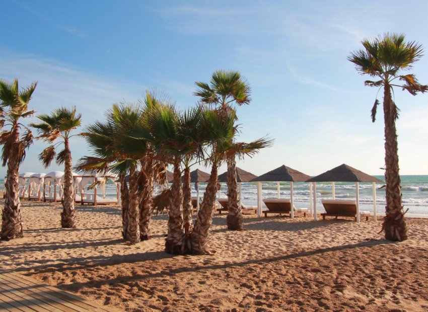 Herverkoop - Appartement / flat - Guardamar del Segura - El Moncayo