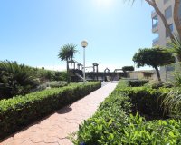Herverkoop - Appartement / flat - Guardamar del Segura - Guardamar del Segura - Town