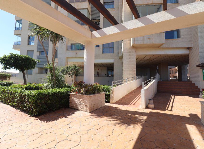 Herverkoop - Appartement / flat - Guardamar del Segura - Guardamar del Segura - Town