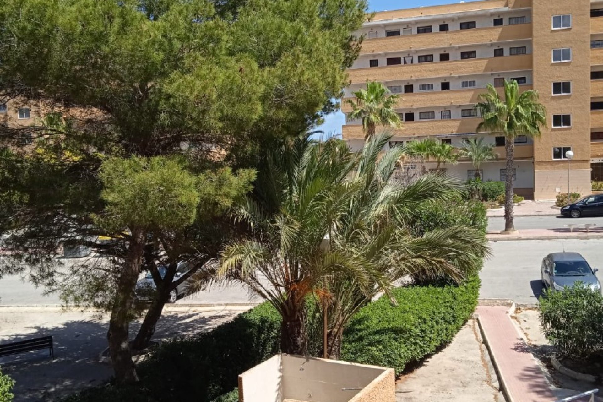 Herverkoop - Appartement / flat - Guardamar del Segura - Pinomar