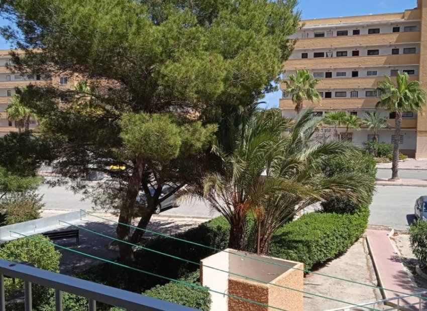 Herverkoop - Appartement / flat - Guardamar del Segura - Pinomar