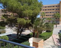Herverkoop - Appartement / flat - Guardamar del Segura - Pinomar