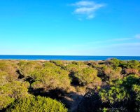 Herverkoop - Appartement / flat - Guardamar del Segura - Pinomar