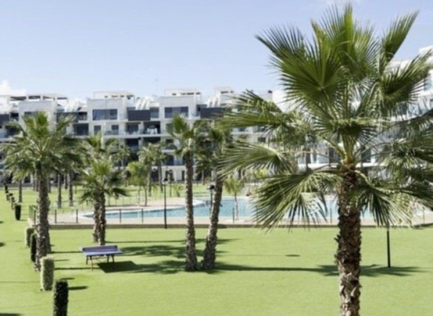 Herverkoop - Appartement / flat - Guardamar del Segura