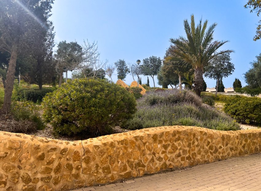 Herverkoop - Appartement / flat - Guardamar del Segura