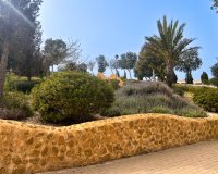 Herverkoop - Appartement / flat - Guardamar del Segura