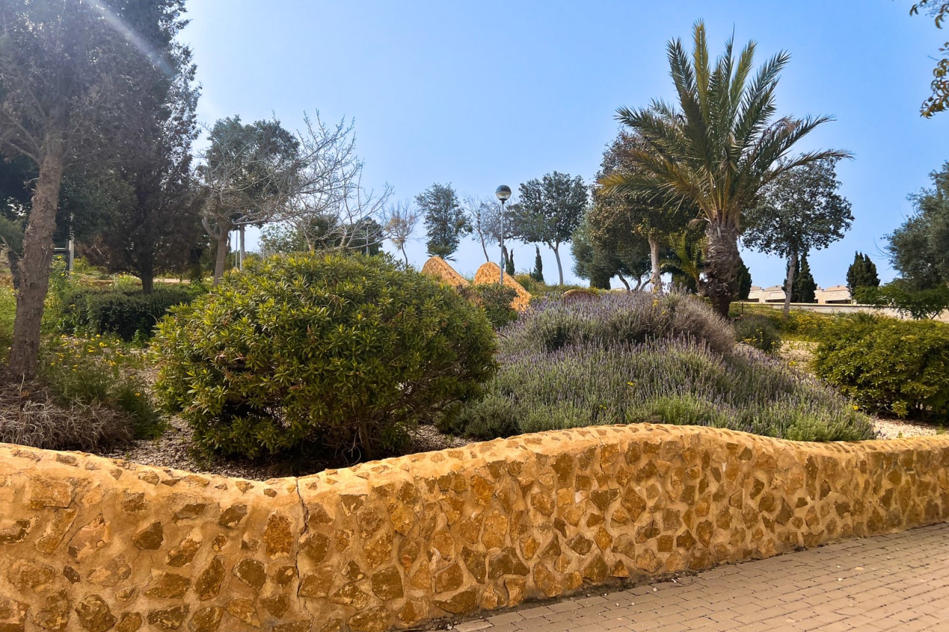 Herverkoop - Appartement / flat - Guardamar del Segura