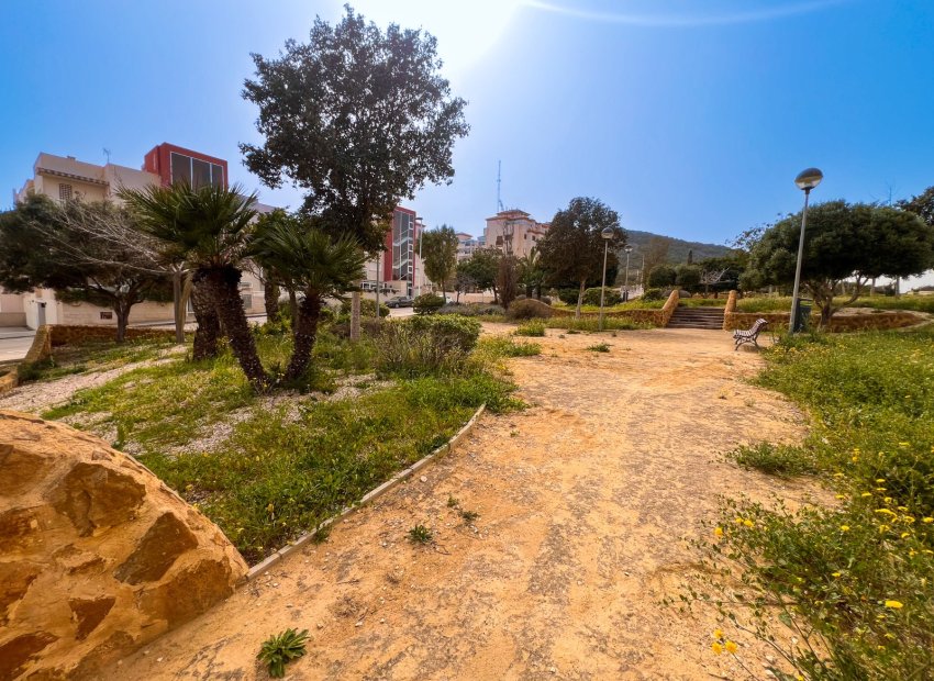 Herverkoop - Appartement / flat - Guardamar del Segura