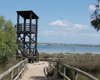 Herverkoop - Appartement / flat - La Mata - La Mata - Town