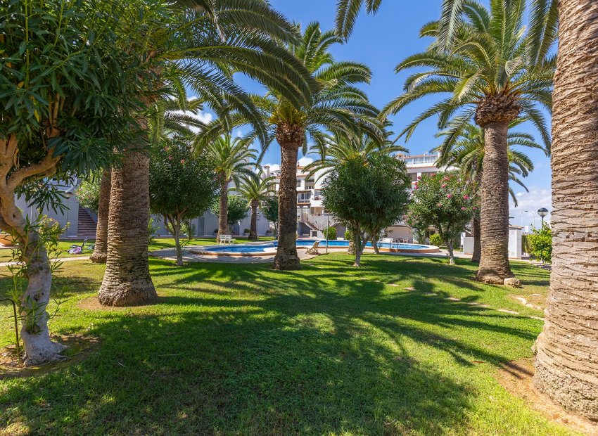 Herverkoop - Appartement / flat - La Mata