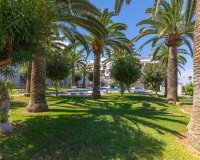 Herverkoop - Appartement / flat - La Mata