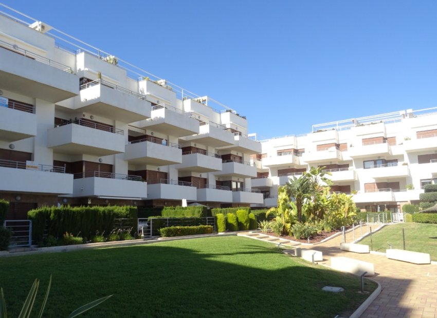 Herverkoop - Appartement / flat - Lomas de Cabo Roig - Lomas De Cabo Roig