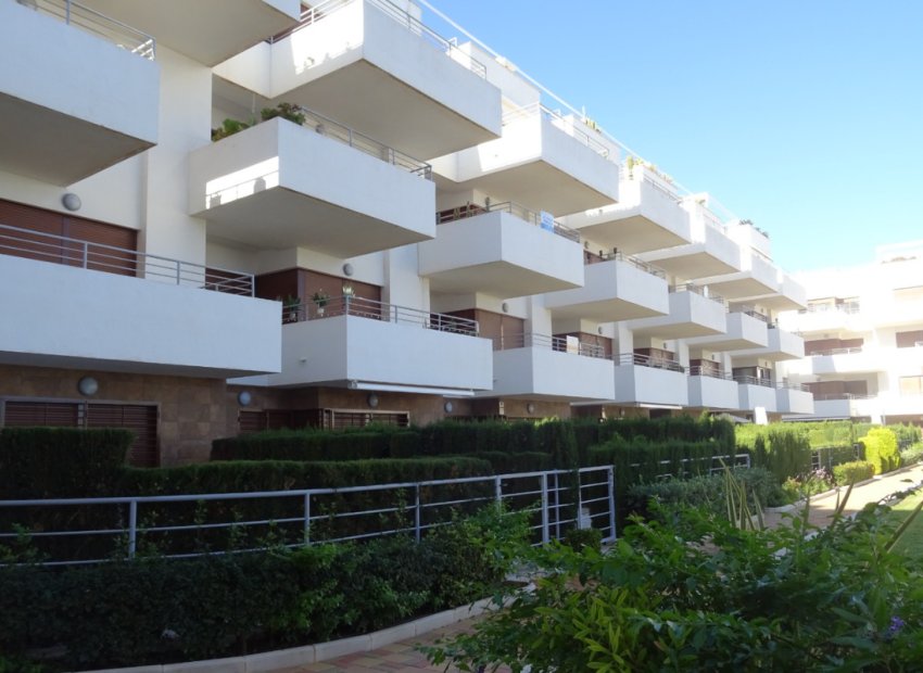 Herverkoop - Appartement / flat - Lomas de Cabo Roig - Lomas De Cabo Roig