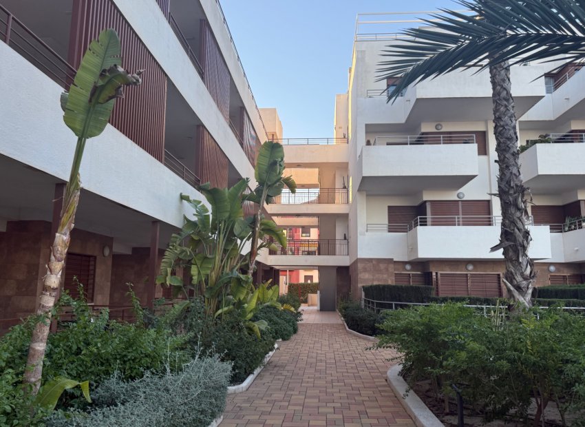 Herverkoop - Appartement / flat - Lomas de Cabo Roig - Lomas De Cabo Roig