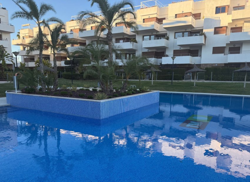 Herverkoop - Appartement / flat - Lomas de Cabo Roig - Lomas De Cabo Roig