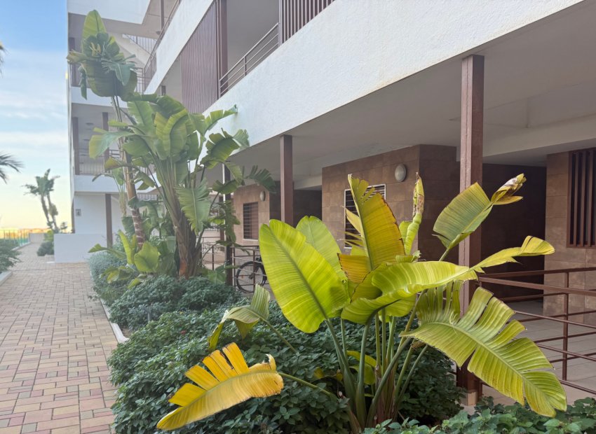 Herverkoop - Appartement / flat - Lomas de Cabo Roig - Lomas De Cabo Roig