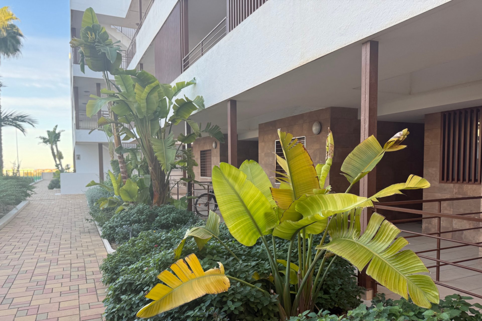 Herverkoop - Appartement / flat - Lomas de Cabo Roig - Lomas De Cabo Roig