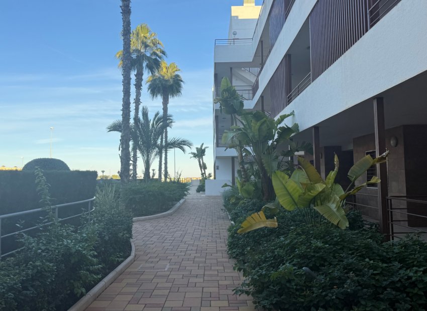 Herverkoop - Appartement / flat - Lomas de Cabo Roig - Lomas De Cabo Roig