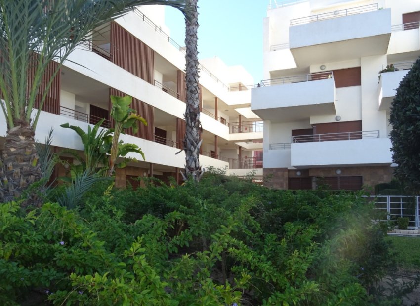 Herverkoop - Appartement / flat - Lomas de Cabo Roig - Lomas De Cabo Roig