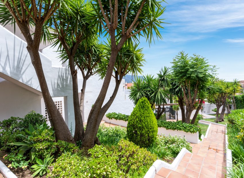 Herverkoop - Appartement / flat - Marbella - Nueva Andalucía