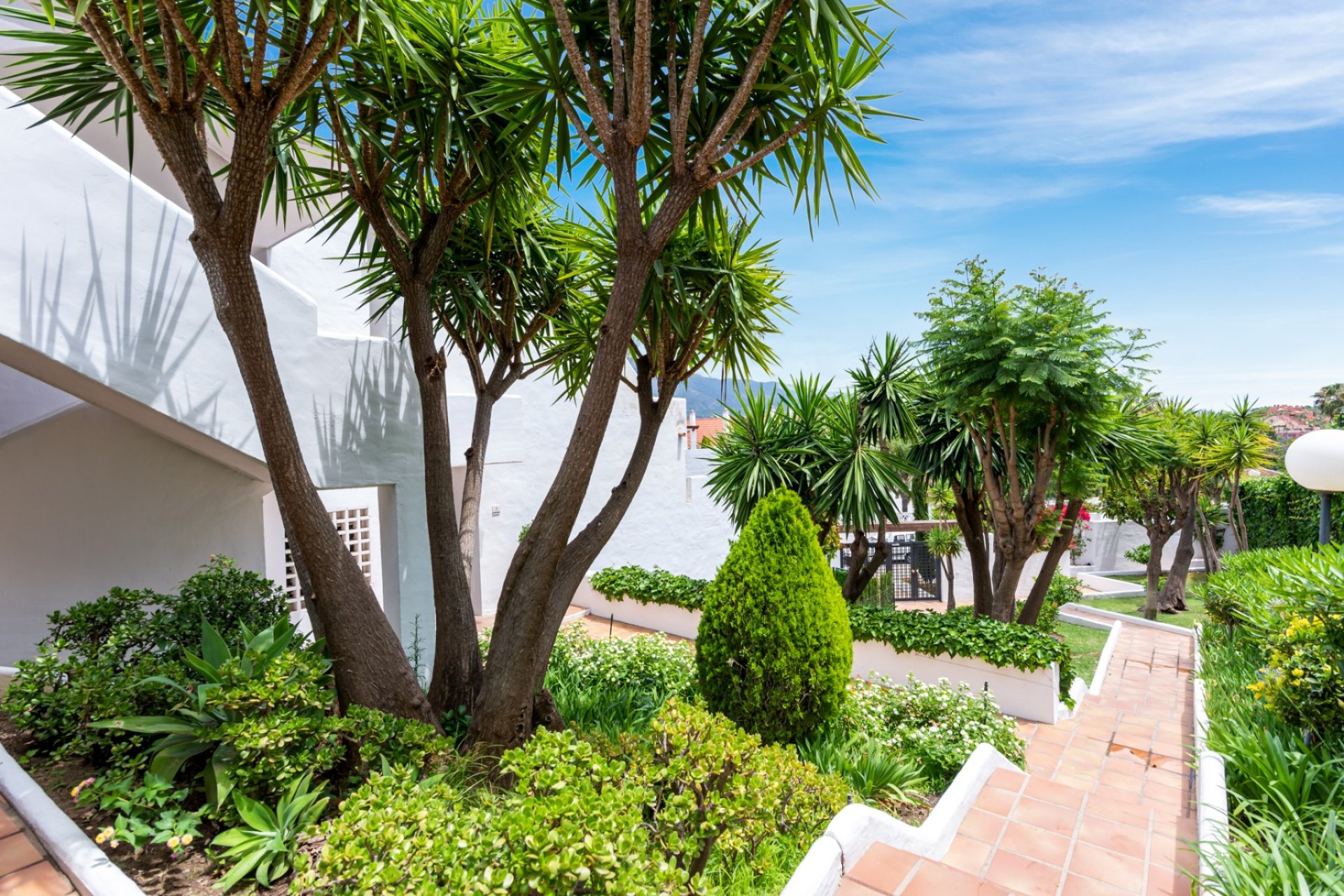 Herverkoop - Appartement / flat - Marbella - Nueva Andalucía