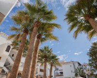Herverkoop - Appartement / flat - Orihuela - Costa Blanca