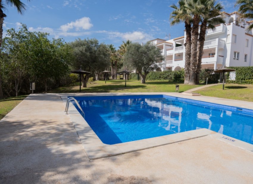 Herverkoop - Appartement / flat - Orihuela - Costa Blanca