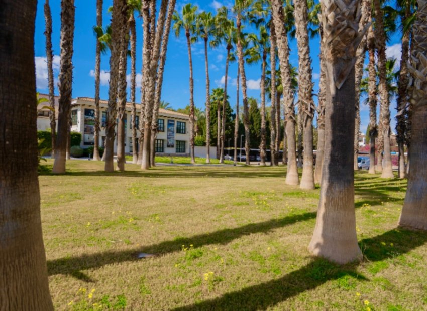 Herverkoop - Appartement / flat - Orihuela - Costa Blanca