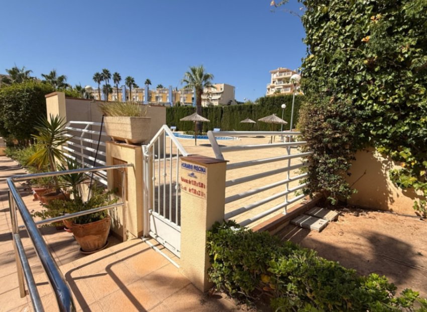 Herverkoop - Appartement / flat - Orihuela - Costa Blanca