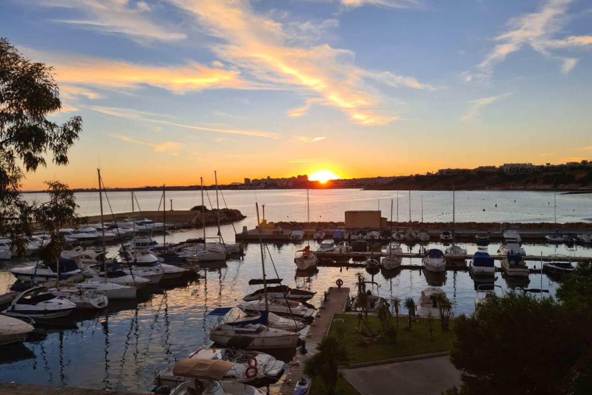 Herverkoop - Appartement / flat - Orihuela Costa - Campoamor