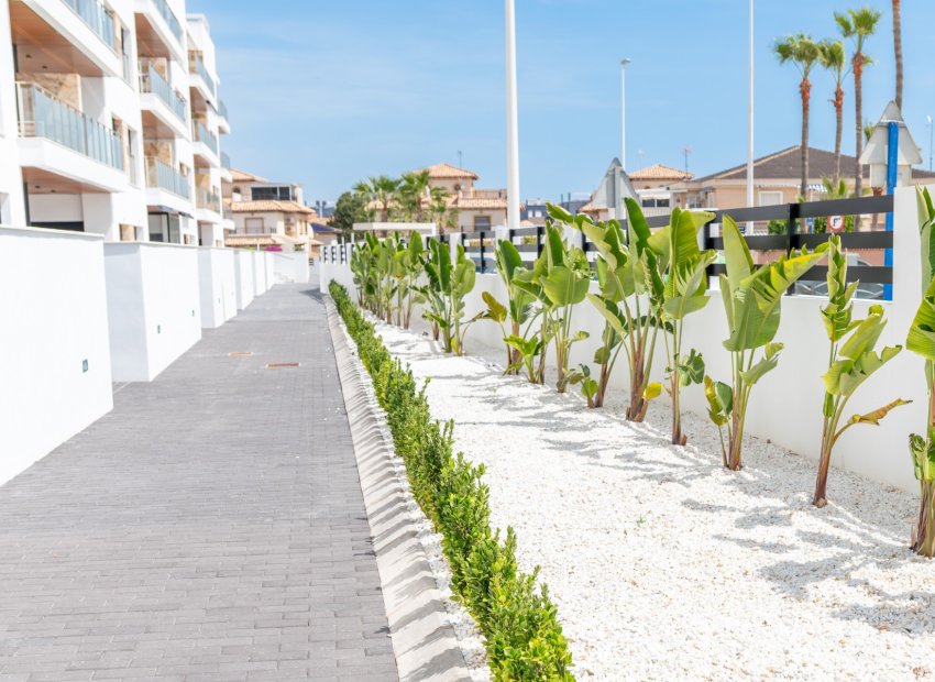 Herverkoop - Appartement / flat - Orihuela Costa - La Zenia