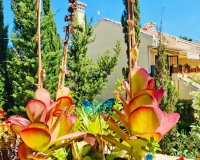 Herverkoop - Appartement / flat - Orihuela Costa - Lomas de Campoamor