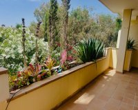 Herverkoop - Appartement / flat - Orihuela Costa - Lomas de Campoamor