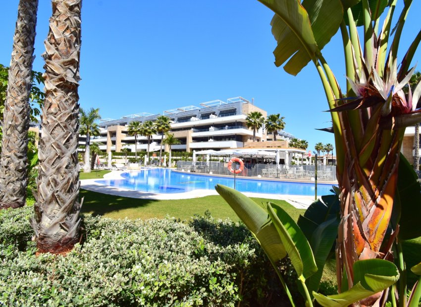 Herverkoop - Appartement / flat - Orihuela Costa - Playa Flamenca