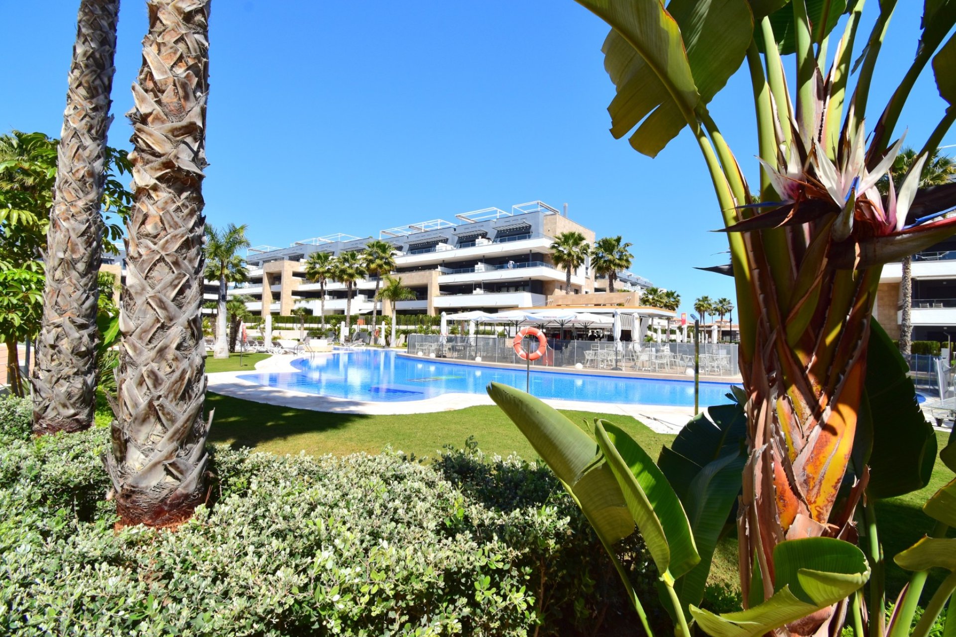 Herverkoop - Appartement / flat - Orihuela Costa - Playa Flamenca