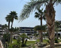 Herverkoop - Appartement / flat - Orihuela Costa - Playa Flamenca