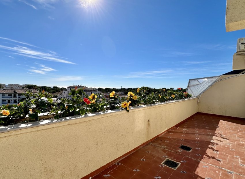 Herverkoop - Appartement / flat - Orihuela Costa - Punta Prima