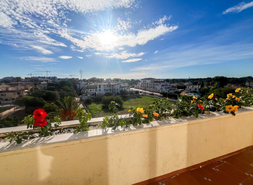 Herverkoop - Appartement / flat - Orihuela Costa - Punta Prima
