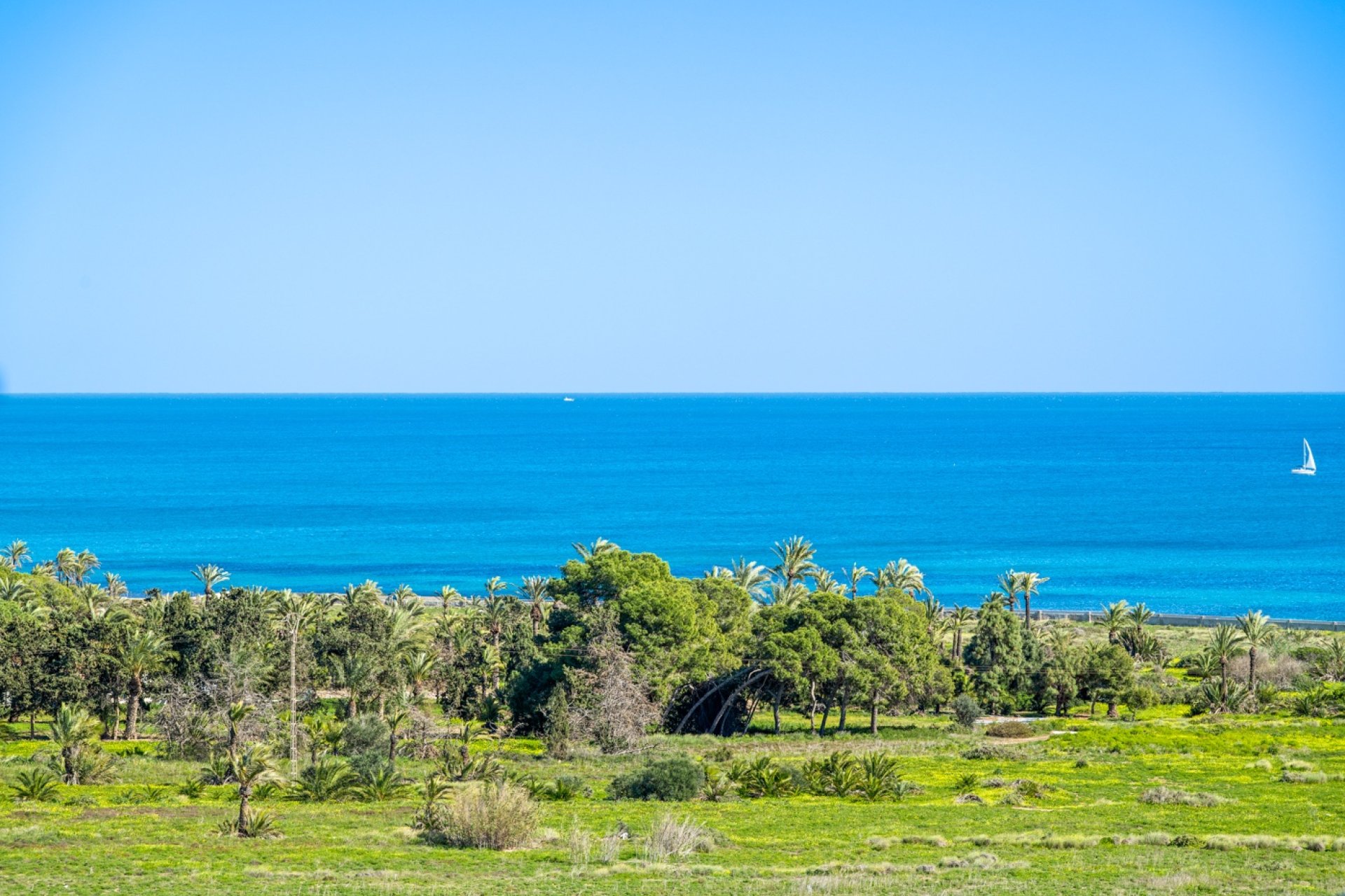 Herverkoop - Appartement / flat - Orihuela Costa - Punta Prima