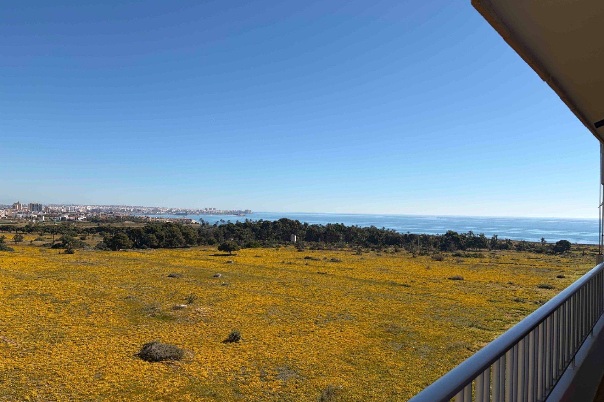 Herverkoop - Appartement / flat - Orihuela Costa - Punta Prima