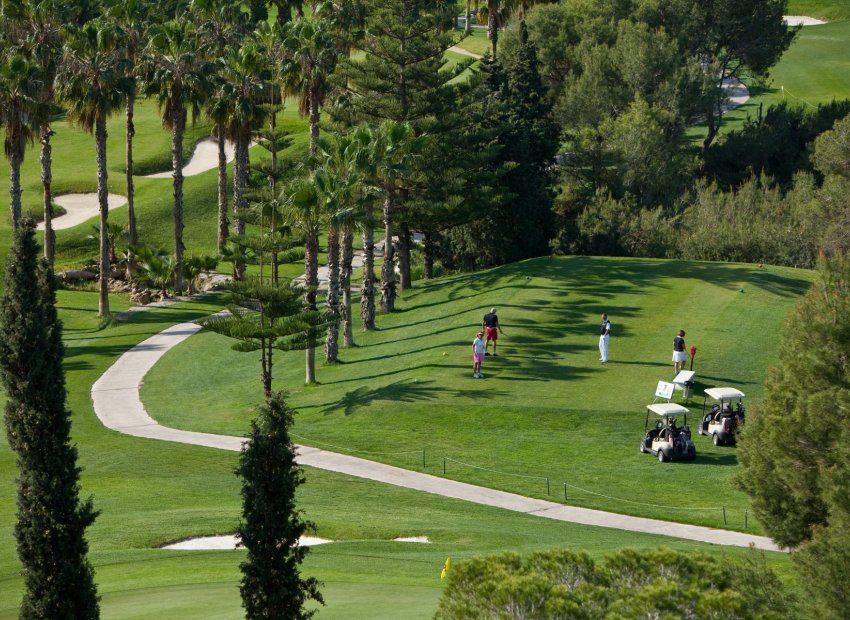 Herverkoop - Appartement / flat - Orihuela Costa