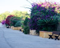 Herverkoop - Appartement / flat - Orihuela - Orihuela Costa