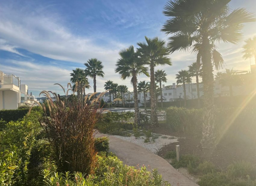 Herverkoop - Appartement / flat - Orihuela - Vistabella