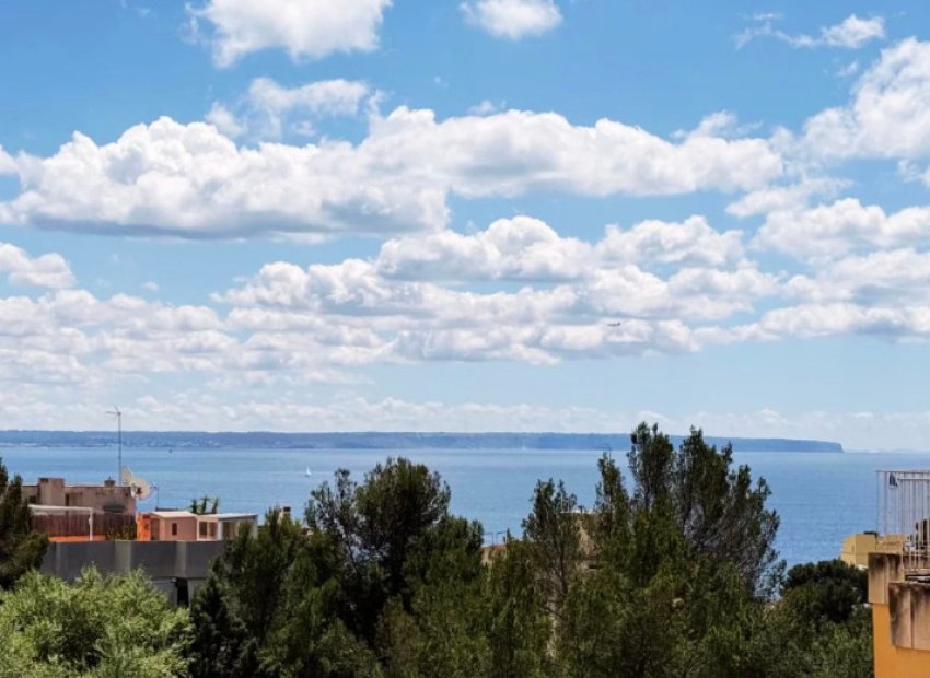 Herverkoop - Appartement / flat - PALMA - Sant Agustí