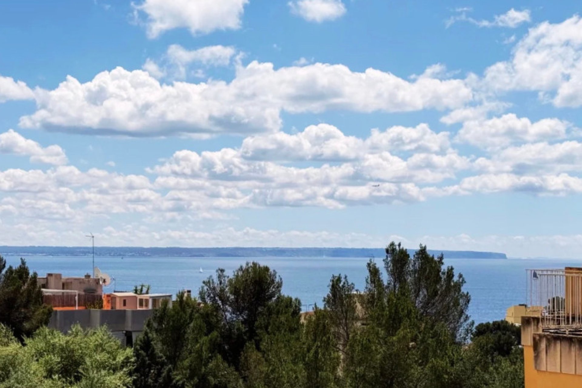 Herverkoop - Appartement / flat - PALMA - Sant Agustí