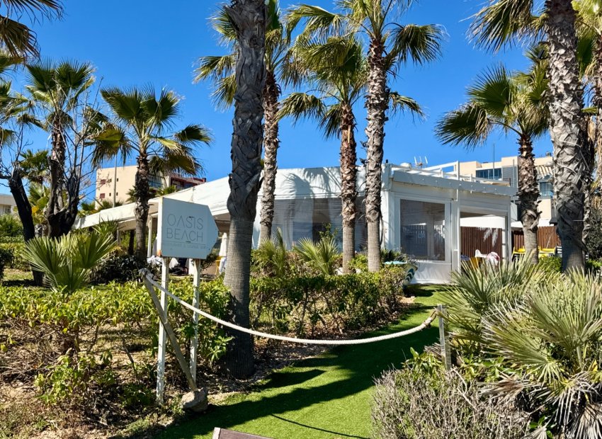 Herverkoop - Appartement / flat - Pilar de la Horadada - Mil Palmeras